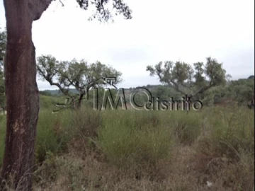 Terreno para Venda em Espírito Santo, Nossa Senhora da Graça e São Simão