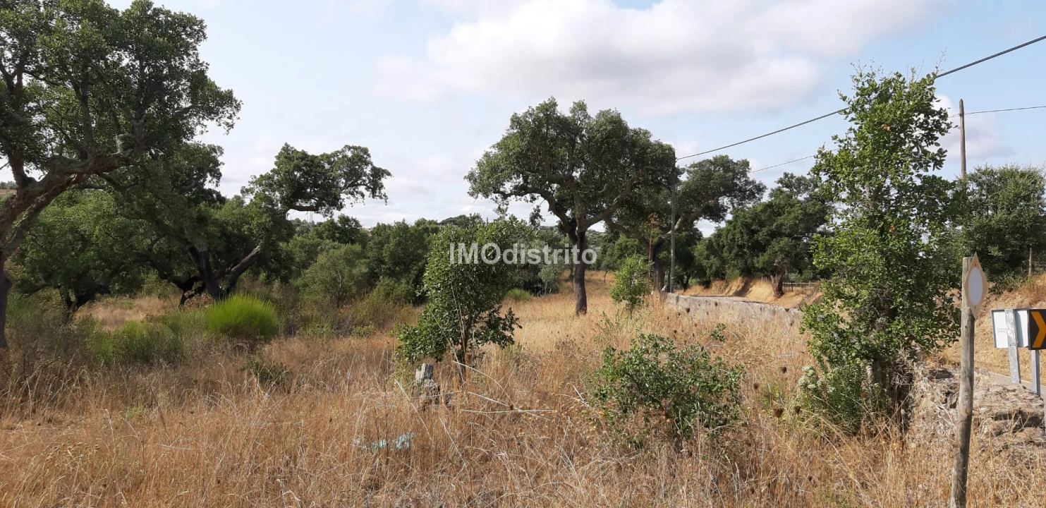 Terreno para Venda em Espírito Santo, Nossa Senhora da Graça e São Simão Foto 6