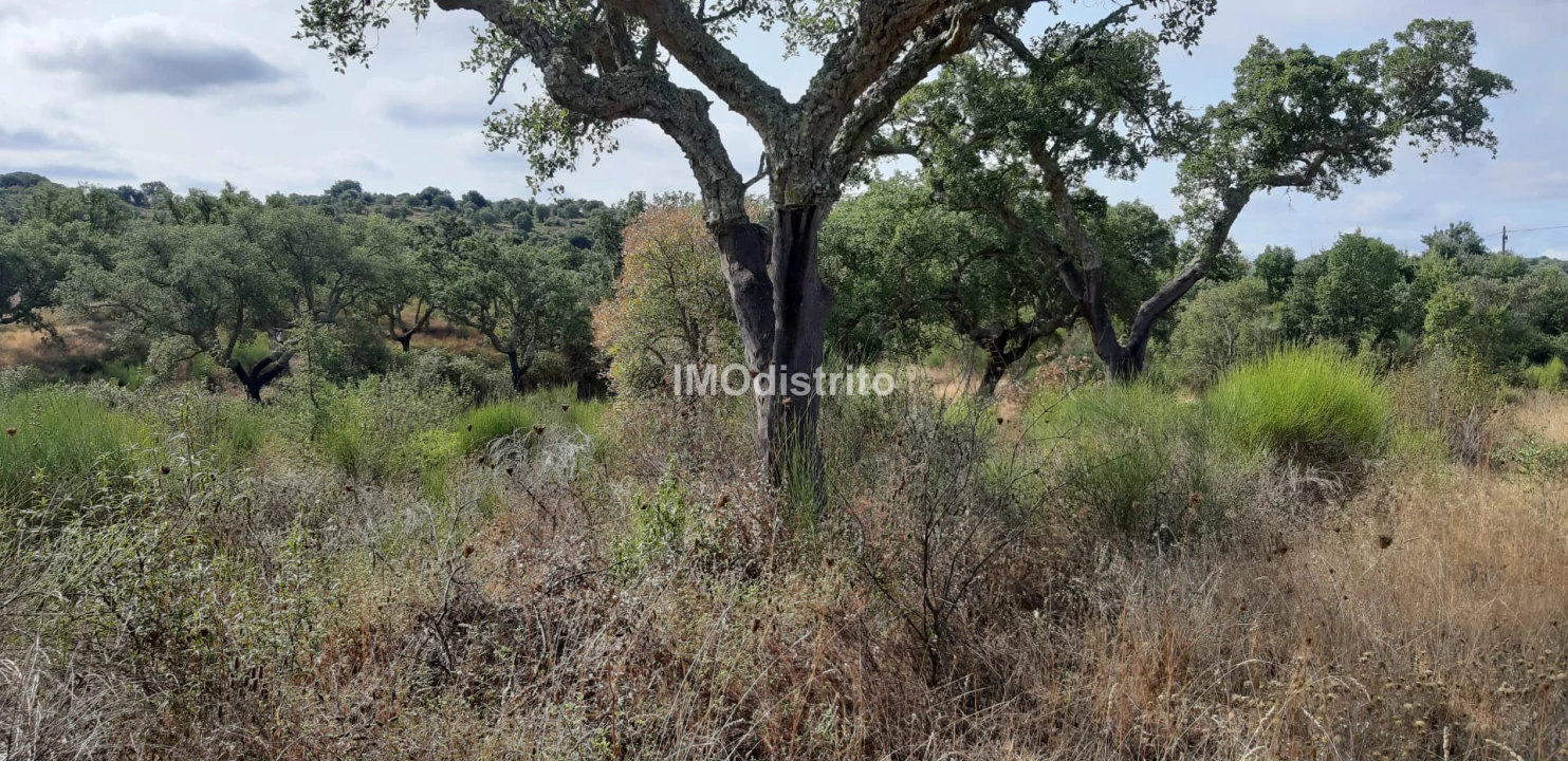 Terreno para Venda em Espírito Santo, Nossa Senhora da Graça e São Simão Foto 8