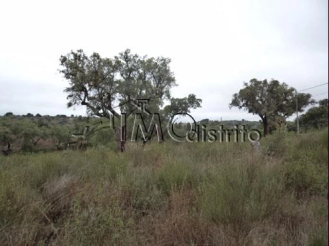 Terreno para Venda em Espírito Santo, Nossa Senhora da Graça e São Simão Foto 3