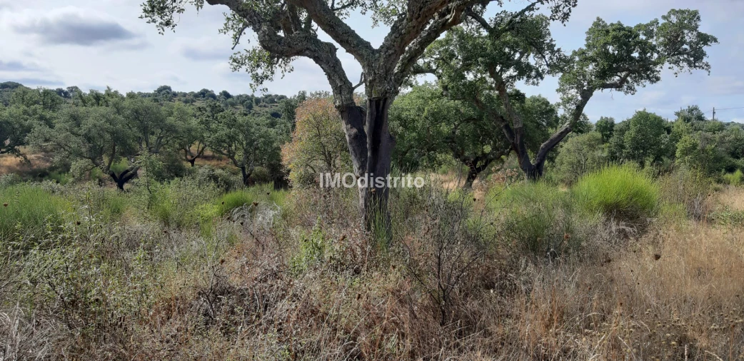Terreno para Venda em Espírito Santo, Nossa Senhora da Graça e São Simão Foto 8