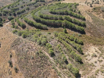 Terreno Agricola ou Rústico para Venda em Vaqueiros