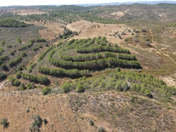 Terreno Agricola ou Rústico para Venda em Vaqueiros