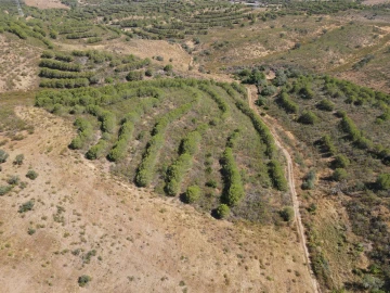 Terreno Agricola ou Rústico para Venda em Vaqueiros
