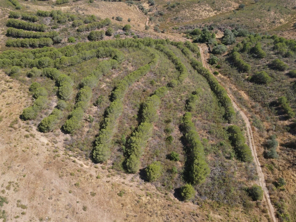 Terreno Agricola ou Rústico para Venda em Vaqueiros Foto 2
