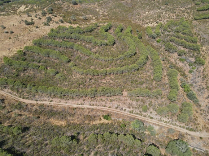 Terreno Agricola ou Rústico para Venda em Vaqueiros Foto 7