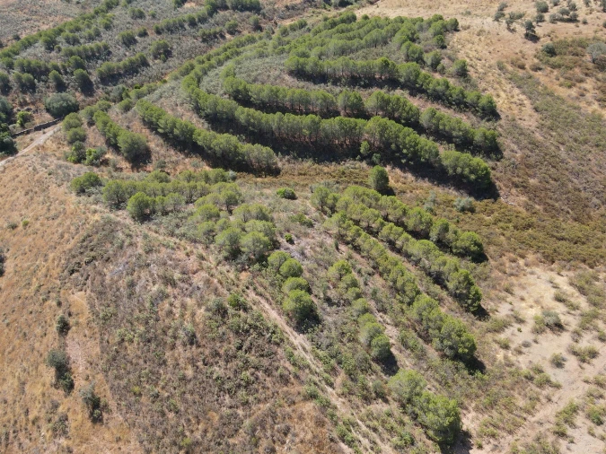 Terreno Agricola ou Rústico para Venda em Vaqueiros Foto 4