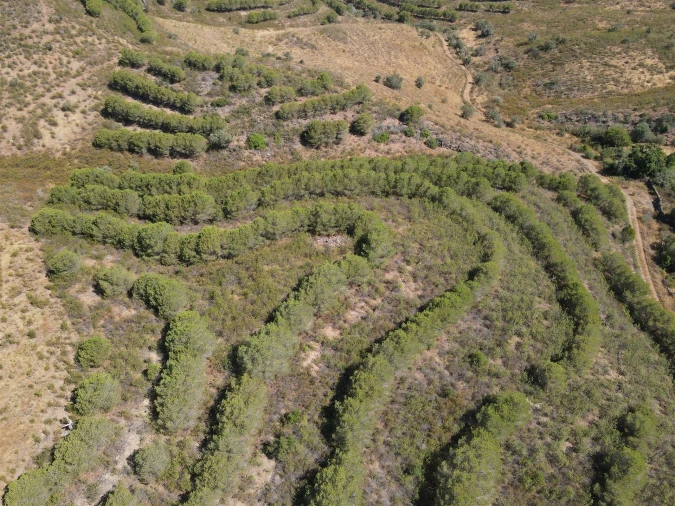 Terreno Agricola ou Rústico para Venda em Vaqueiros Foto 3