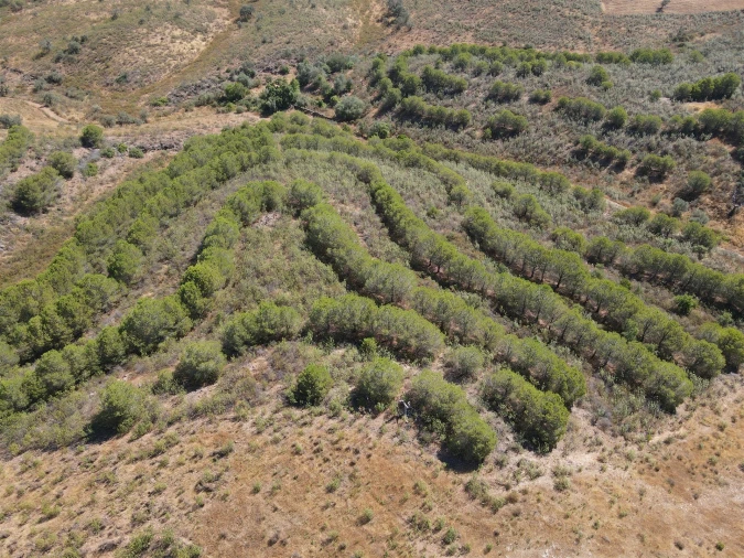 Terreno Agricola ou Rústico para Venda em Vaqueiros Foto 5