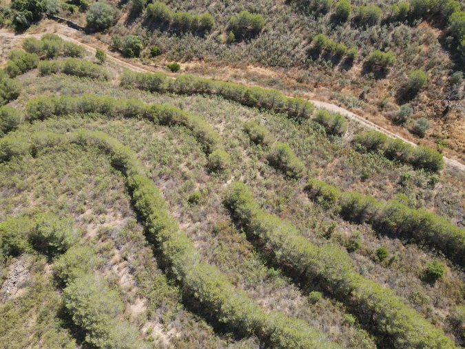 Terreno Agricola ou Rústico para Venda em Vaqueiros Foto 6