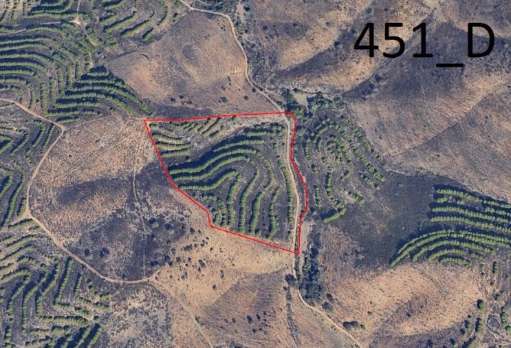 Terreno Agricola ou Rústico para Venda em Vaqueiros Foto 9