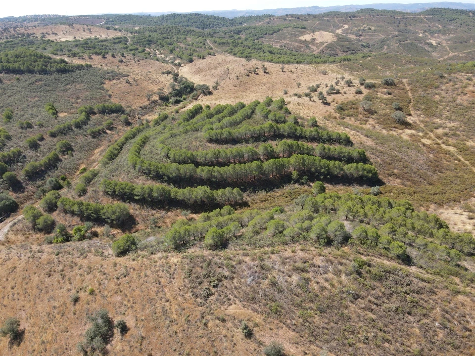 Terreno Agricola ou Rústico para Venda em Vaqueiros Foto 8