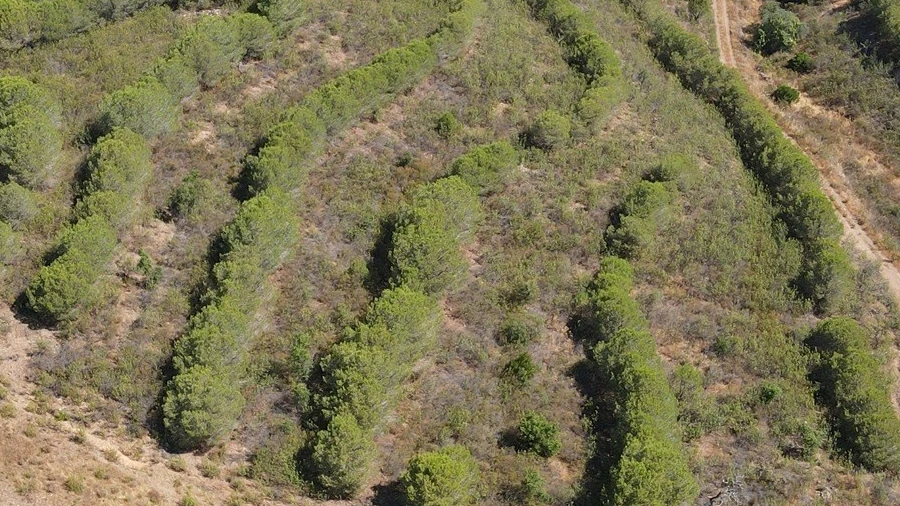 Terreno Agricola ou Rústico para Venda em Vaqueiros