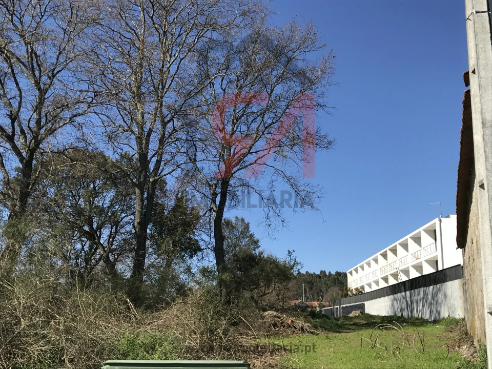 Terreno para Venda em Frazão Arreigada Foto 10