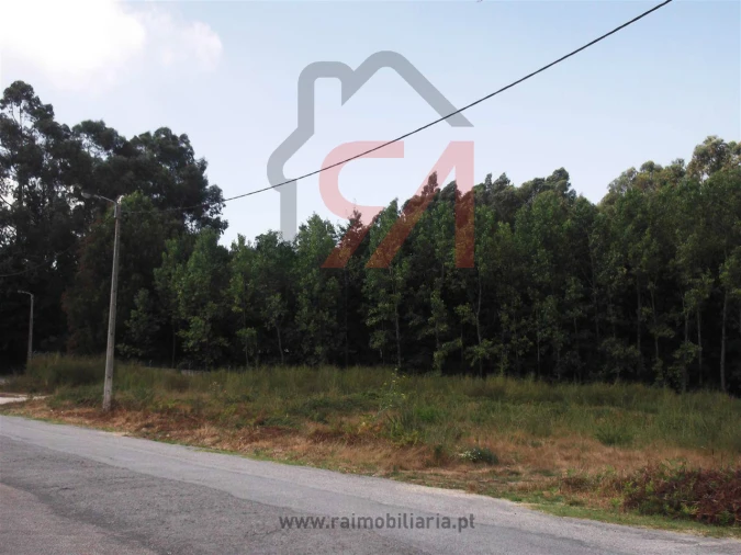 Terreno para Venda em Frazão Arreigada Foto 4