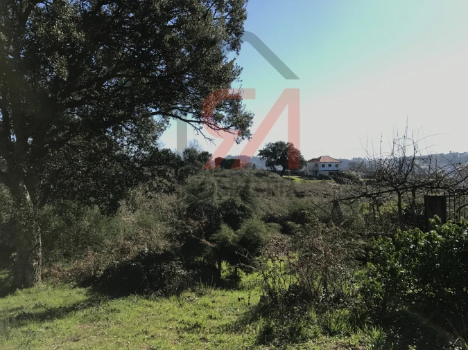 Terreno para Venda em Frazão Arreigada Foto 7