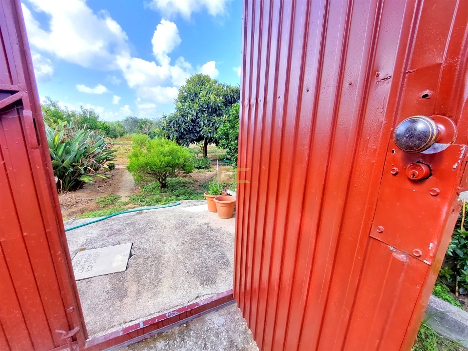 Prédio para Venda em Carriço Foto 29