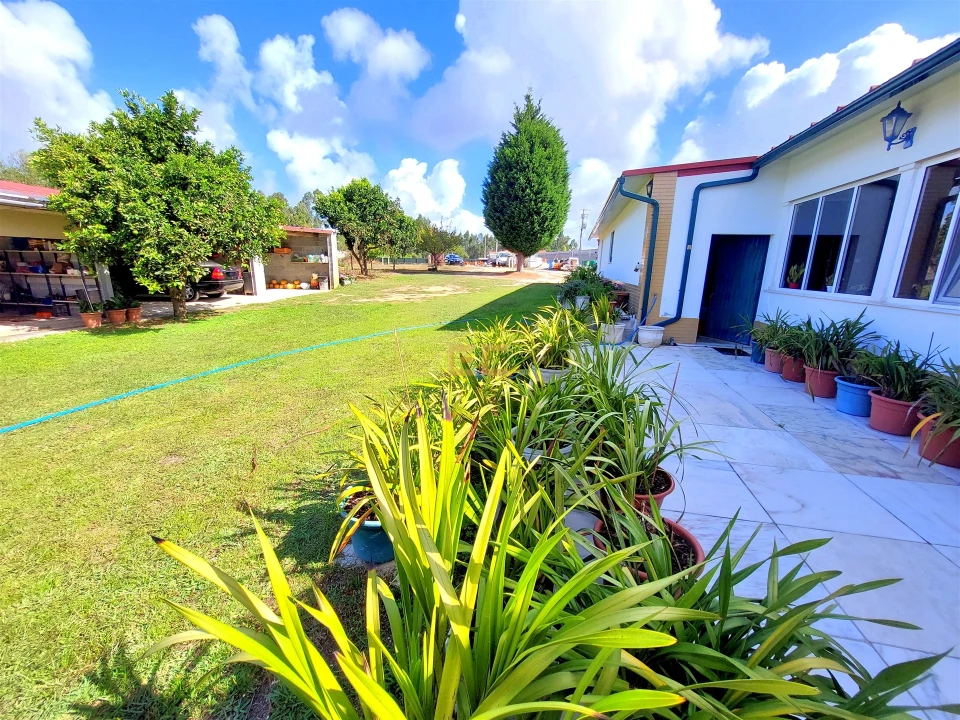 Prédio para Venda em Carriço Foto 3