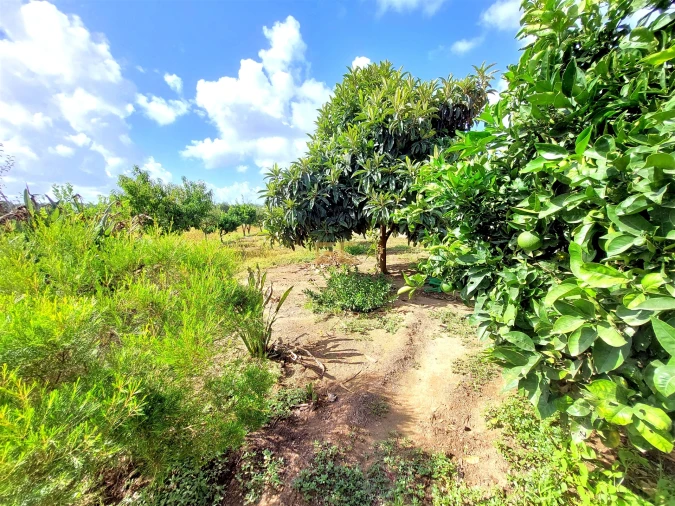 Prédio para Venda em Carriço Foto 34