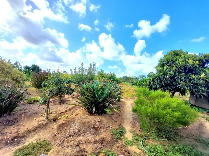 Prédio para Venda em Carriço Foto 31
