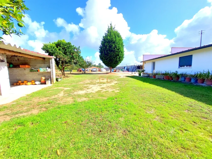 Prédio para Venda em Carriço Foto 4