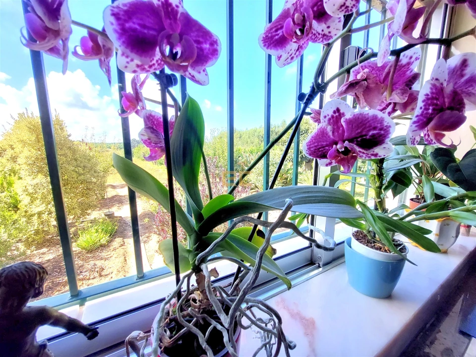 Prédio para Venda em Carriço Foto 14