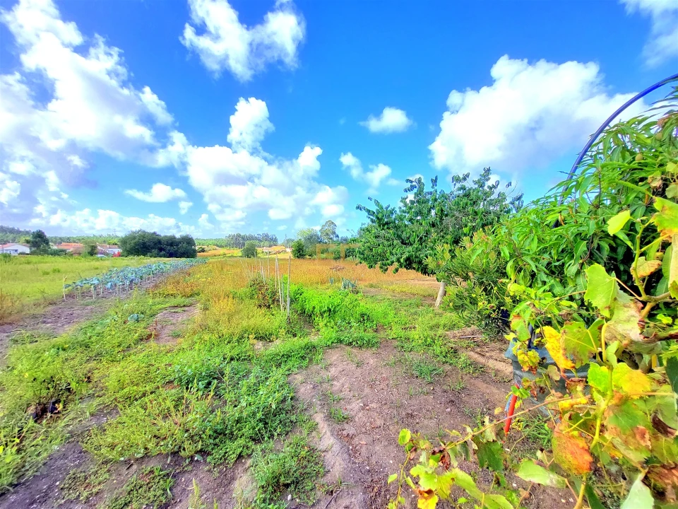 Prédio para Venda em Carriço Foto 33