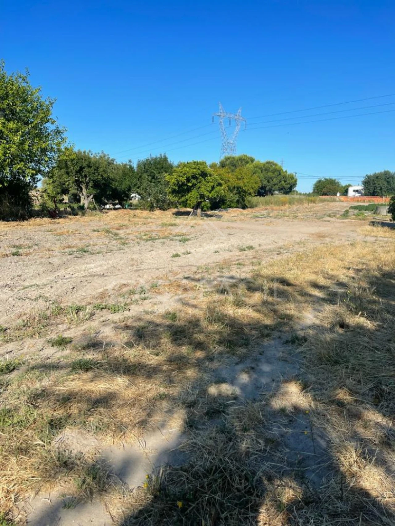 Quinta T0 para Venda em Montijo e Afonsoeiro Foto 6