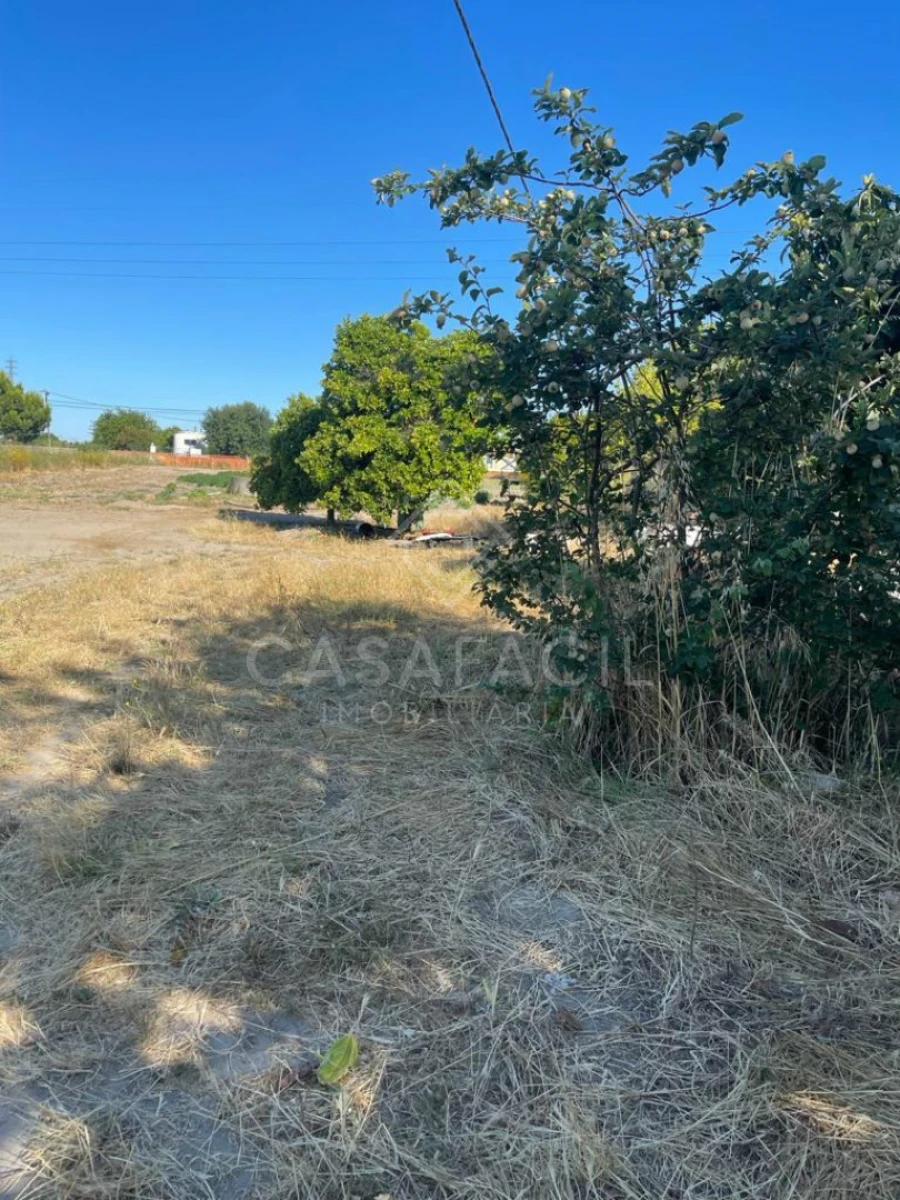 Quinta T0 para Venda em Montijo e Afonsoeiro Foto 8