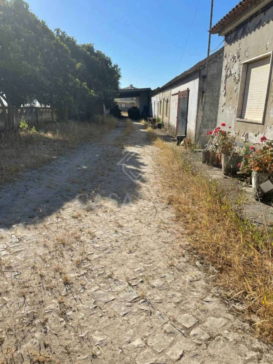 Quinta T0 para Venda em Montijo e Afonsoeiro