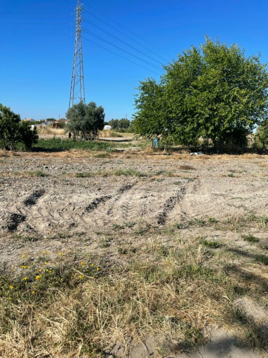 Quinta T0 para Venda em Montijo e Afonsoeiro Foto 5