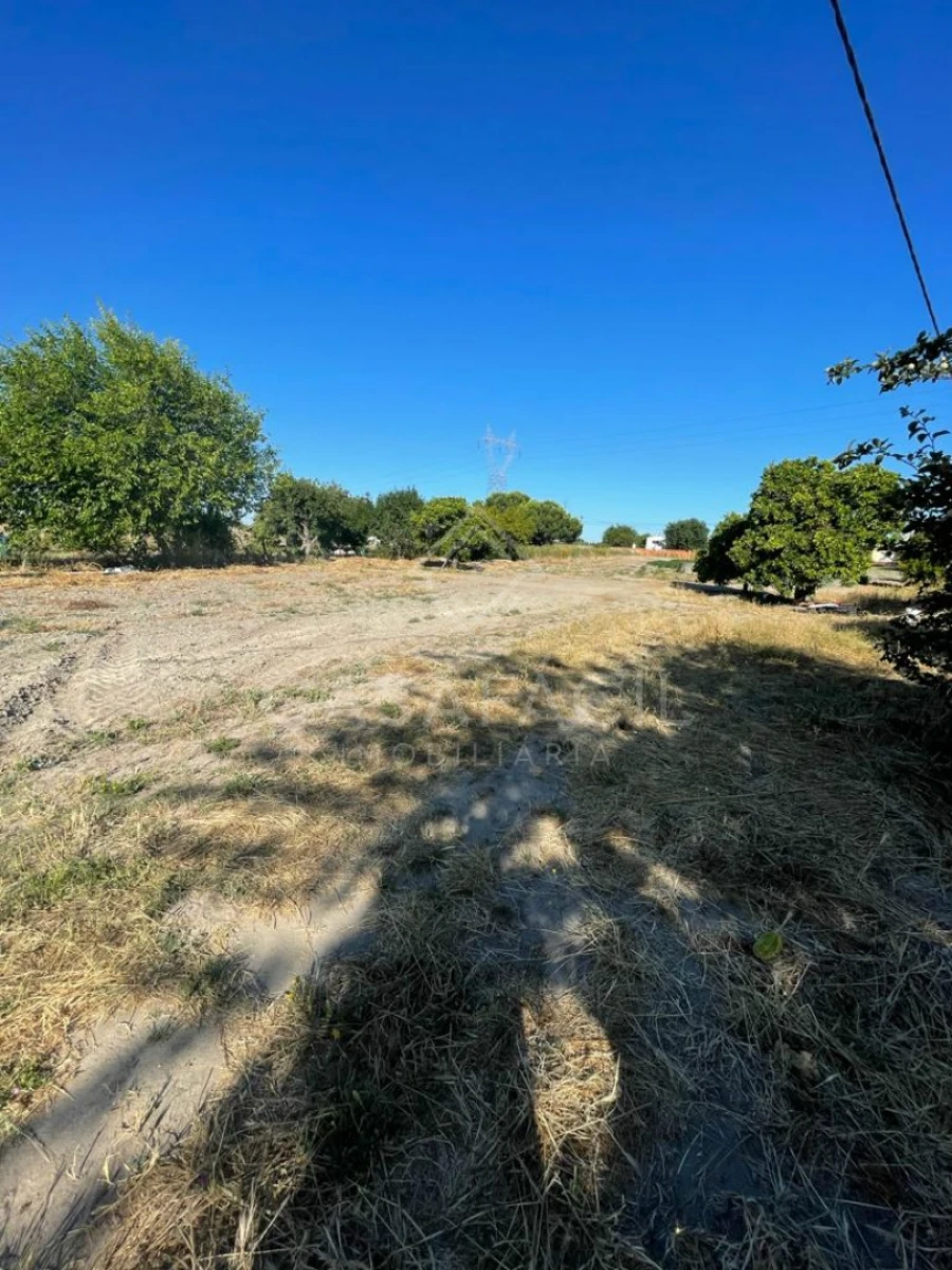 Quinta T0 para Venda em Montijo e Afonsoeiro Foto 10