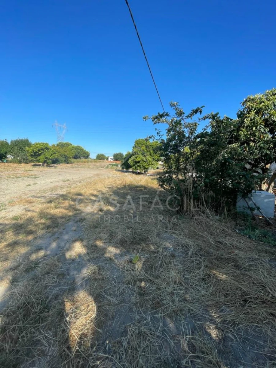 Quinta T0 para Venda em Montijo e Afonsoeiro Foto 9