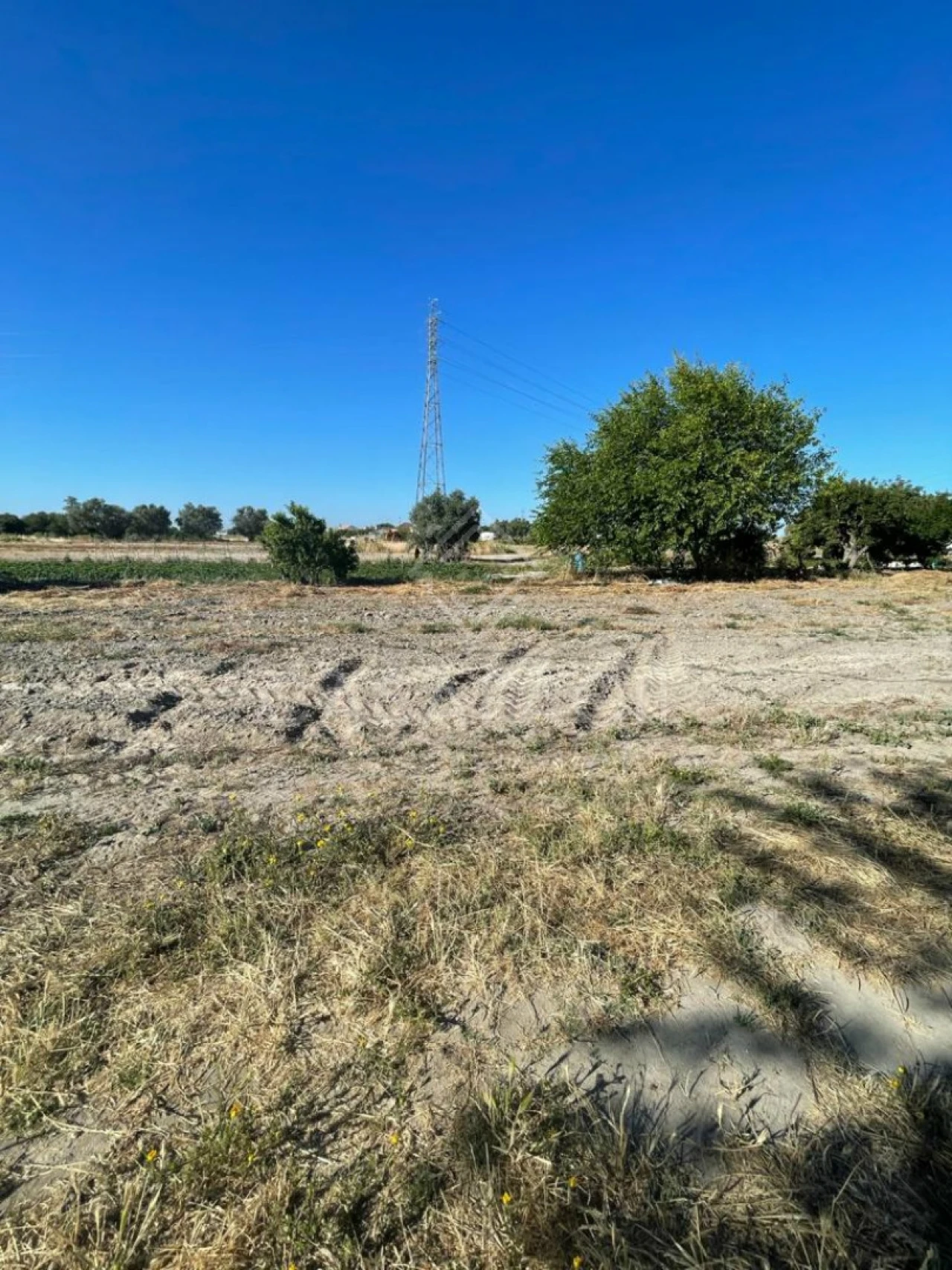 Quinta T0 para Venda em Montijo e Afonsoeiro Foto 12