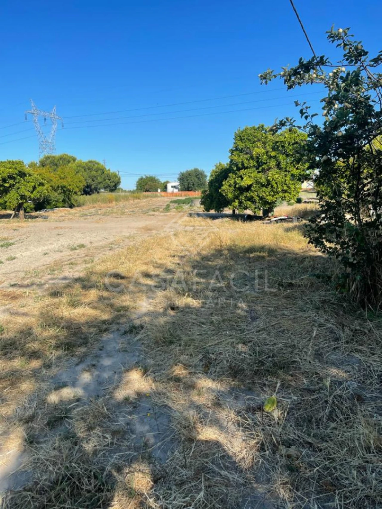 Quinta T0 para Venda em Montijo e Afonsoeiro Foto 7