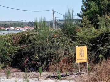 Terreno para Venda em Mangualde, Mesquitela e Cunha Alta