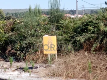 Terreno para Venda em Mangualde, Mesquitela e Cunha Alta