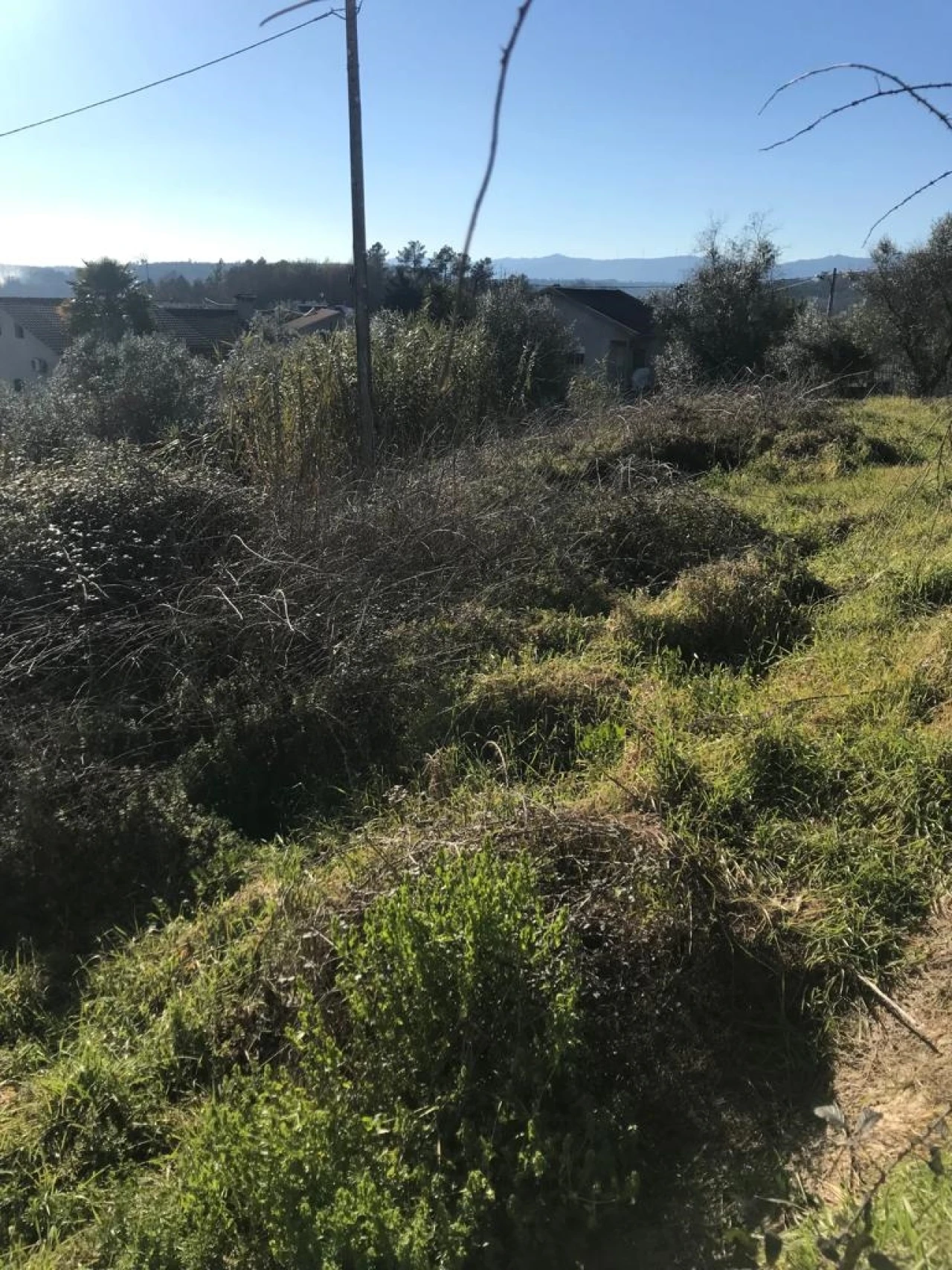 Terreno para Venda em São Cipriano e Vil de Souto Foto 3