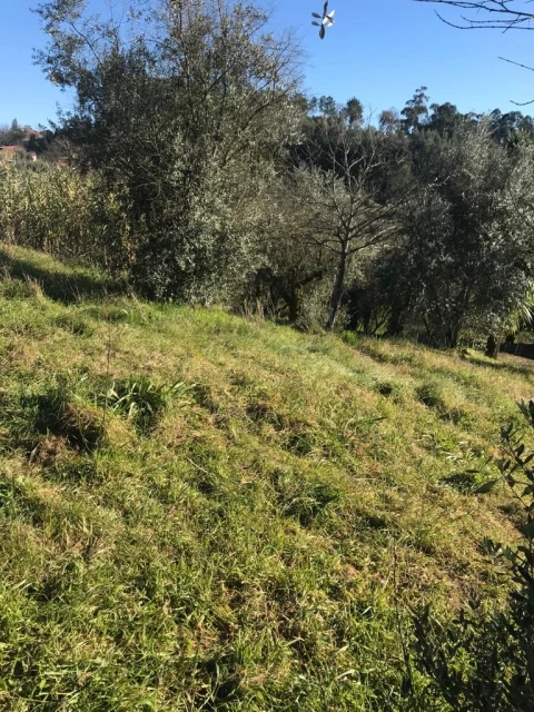 Terreno para Venda em São Cipriano e Vil de Souto