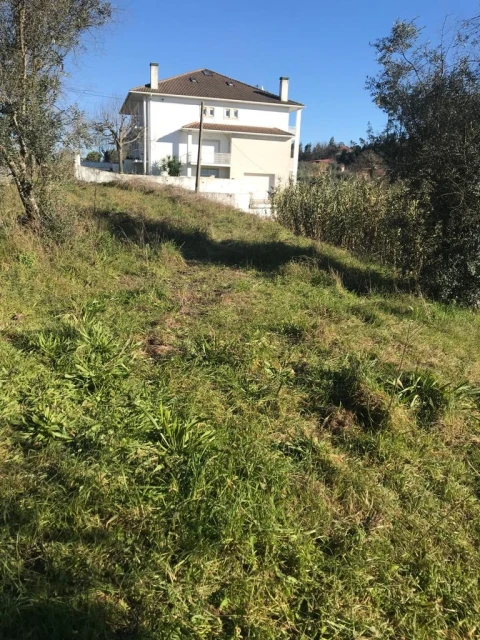 Terreno para Venda em São Cipriano e Vil de Souto