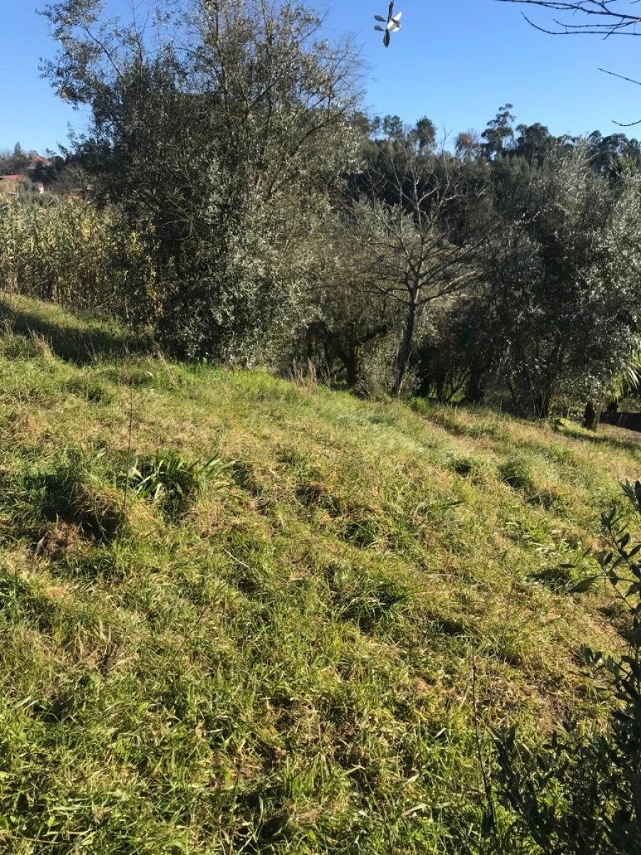 Terreno para Venda em São Cipriano e Vil de Souto Foto 5
