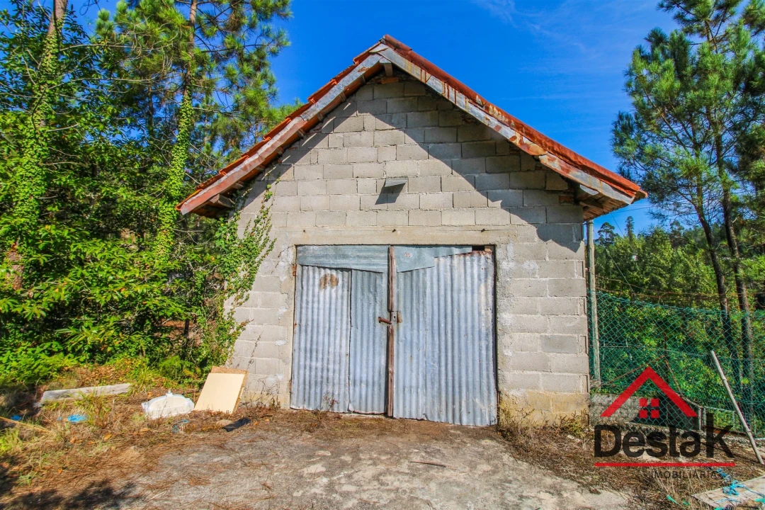 Quinta T3 para Venda em Sul Foto 7