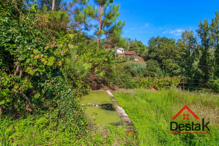 Quinta T3 para Venda em Sul Foto 4