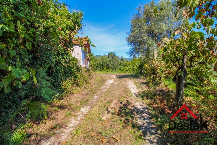 Quinta T3 para Venda em Sul Foto 3