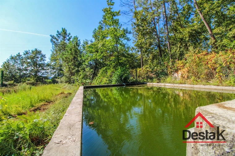 Quinta T3 para Venda em Sul Foto 19