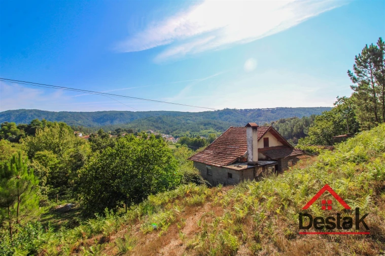 Quinta T3 para Venda em Sul Foto 5