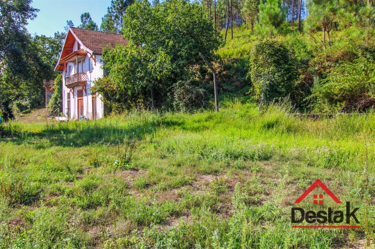 Quinta T3 para Venda em Sul Foto 2