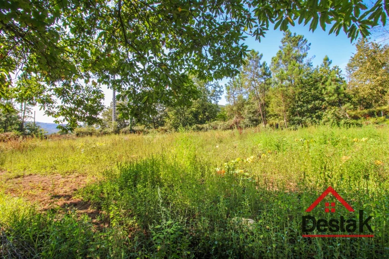 Quinta T3 para Venda em Sul Foto 18