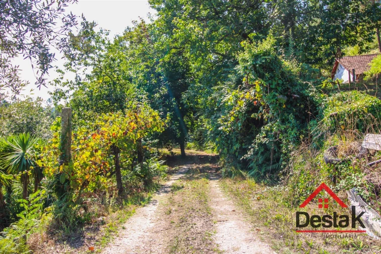 Quinta T3 para Venda em Sul Foto 23