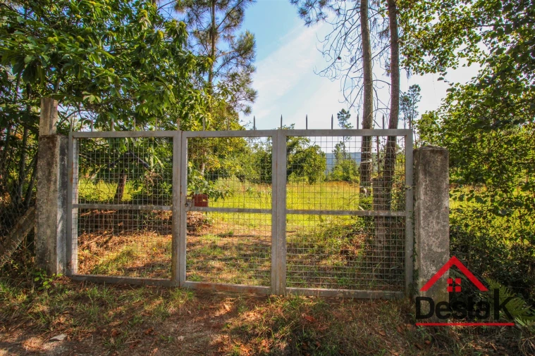 Quinta T3 para Venda em Sul Foto 21